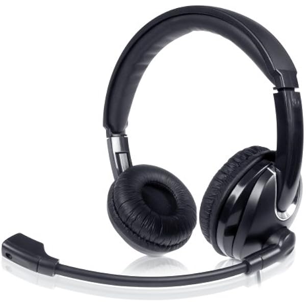 iball computer headphones with mic