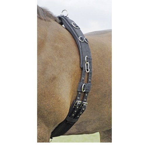 Preisvergleich Produktbild Busse Longiergurt Profi-Soft - Größe WB