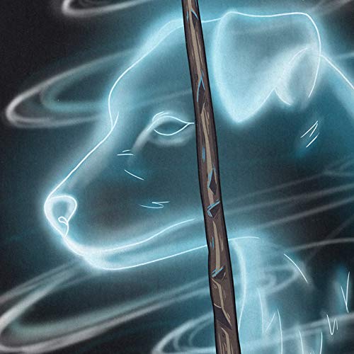 CottonCloud-Patronus-Ron-T-Shirt-fr-Kinder-Potter-Schule-zauberei-Magic-Harry