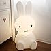 Produktbild LYZL Silikon-Pat-Lichtkarikatur Miffy-Kaninchen, das dekorative Lichter Spielzeug-Pat-Lichtbaby lädt, das das Schlafen einzieht, das Fütterung führte, beleuchtet,50CM