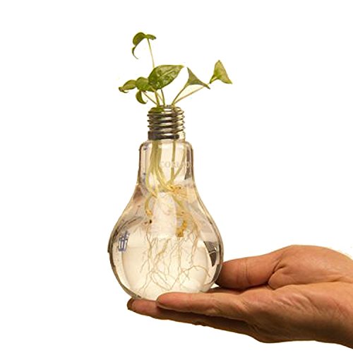 Gosear 2 Stück Dekorative Transparent Stand Glas Blume Pflanze Light Bulb Vase Schreibtisch Dekor Moderne Glühbirnenvase - 2