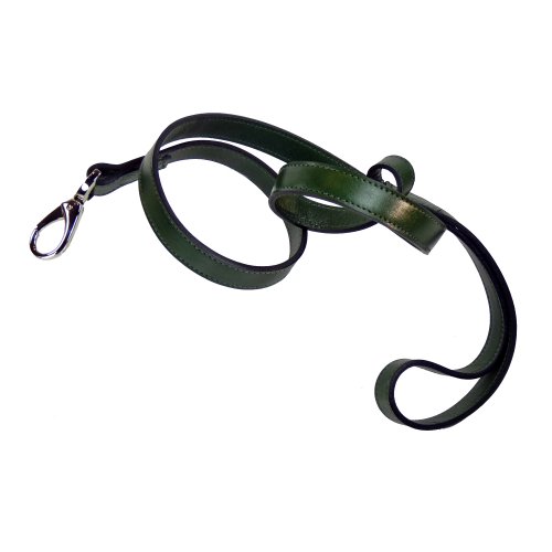 Hartman-Rose-Dog-Lead-12-Inch-Ivy-Green
