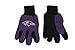 Produktbild Wincraft NFL Handschuhe zweifarbig, Jungen Damen Unisex Mädchen Herren, violett, Small
