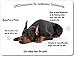 Produktbild Merchandise for Fans Blechschild/Warnschild/Türschild - Aluminium - 30x20cm - - Willkommen in Meinem Zuhause - Motiv: Dobermann liegend- 01