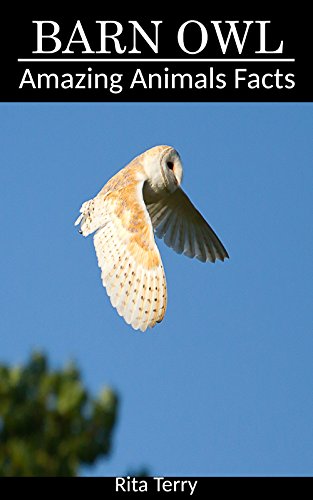 Barn Owl Amazing Photos Fun Facts Book About Barn Owl Amazing