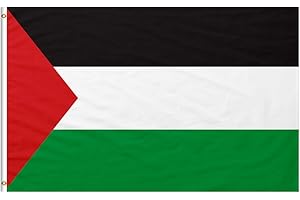 Longivia® Bandera Palestina Grande 90x150 cm Reforzada y con 2 Ojales Metálicos para Balcon Exterior y Interior - Palestine Flag – Palestinian message – Banderas de Palestina Libre