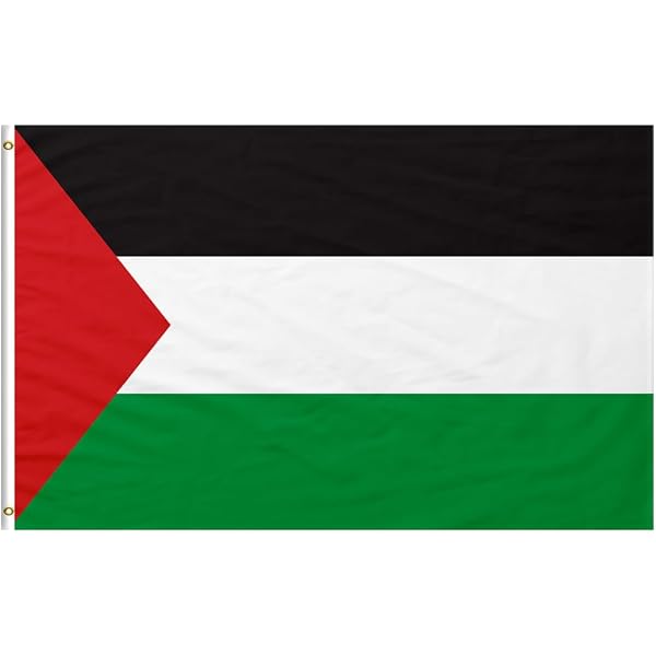 Écharpe Palestine Réversible - 135 Cm, Polyester Doux - Foulard Drapeau Palestinien, Cadeau Symbolique