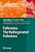 Produktbild Fulleranes: The Hydrogenated Fullerenes (Carbon Materials: Chemistry and Physics, Band 2)