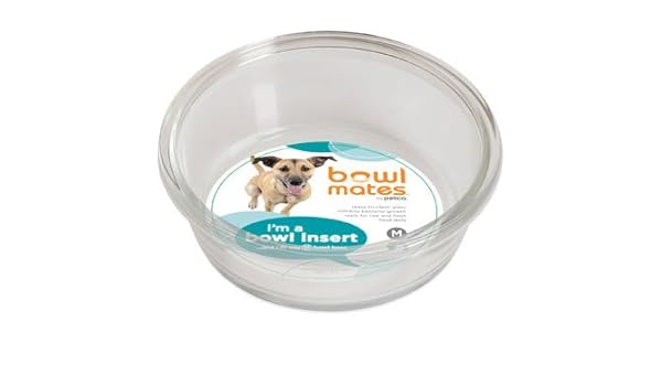 Bowlmates By Petco Medium Glass Bowl Insert Amazon Co Uk Pet