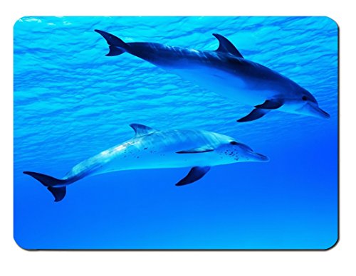 Preisvergleich Produktbild Mauspad Dolphins Design