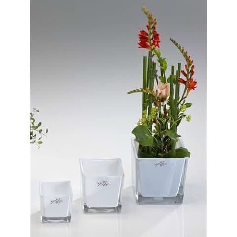 Suchergebnis auf Amazon.de für: Übertöpfe Glas: Garten