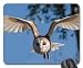Produktbild Mouse Pads - Barn Owl Bird Owl Nature Wildlife Prey Wings