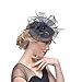 Produktbild Hffan Hat Fascinators Hut Blume Mesh Bänder Federn auf einem Stirnband und einem geteilten Clip Cocktail Tea Party Headwear für Mädchen und Frauen Elegante Bänder Federn Stirnband (Schwarz, 1 PC)