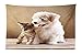 Produktbild prz0vprz0v Animal Tapestry, Cute Baby Cat Kitten and Puppy Dog Best Friends Image Photo Artwork, Fabric Wall Hanging Decor for Bedroom Living Room Dorm, 60 W X 40 L Inches, Sand Brown Cream and White