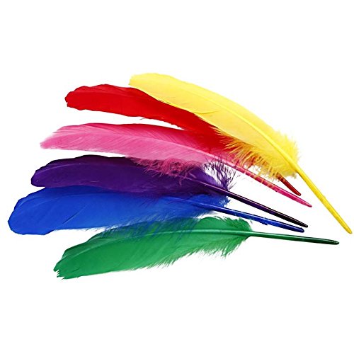 BUDILA® 36 Indianerfedern bunt ca. 18-20cm