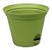 Misco 1354/3-060 Flare Self Watering Planter 13.8-Inch Avocado RS.4645.00