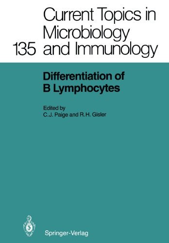 Differentiation of B Lymphocytes (Current Topics in Microbiology and Immunology) (1987-01-01) en ligne Differentiation of B Lymphocytes (Current Topics in Microbiology and Immunology) (1987-01-01) en ligne