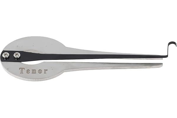 Getdoublerich 1 harpe juive, harpe juive portable, harmonica ethnique russe, cadeau pour débutant pour créer une variété de rythmes et de mélodies (grande taille)