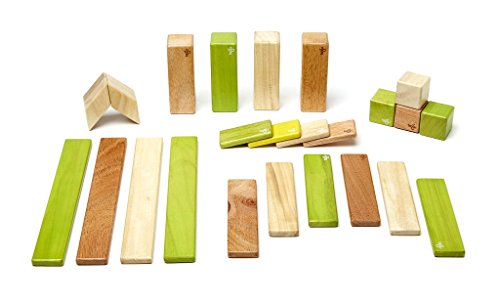 Tegu Magnetic Wooden Block Set (24-Piece, Jungle)