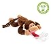 BabyHuggle 4 in 1 Plush Monkey Pacifier - Soft Stuffed Toy with Detachable Silicone Baby Binky, Clip Holder and Squeaky Sound - 100% Non Toxic & Safe - Soothing and Comfortable for a Good Night Sleep RS.1876.00