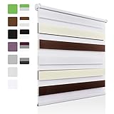 rollos braunschweig Montage: Das Doppelrollo wird mittels Klemmträgern an Fenster, Balkontür, Terrassentür OHNE BOHREN montieren, oder an Wand & Decke schrauben. Lieferumfang inkl. Montage Zubehör.