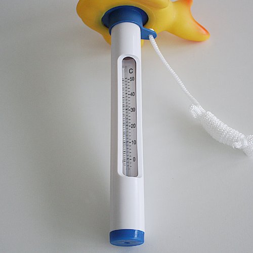 Pool Thermometer Goldfisch - 2
