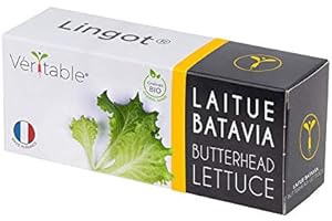 Lingot® Laitue Batavia BIO - Compatible Potager d'Intérieur Véritable® et Exky® - Recharge prête à l'emploi - Substrat avec Graines Intégrées