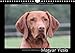 Magyar Vizsla (Wandkalender 2014 DIN A4 quer): Kalender mit schönen Fotos der Hunderasse Magyar Vizsla (Monatskalender, 14 Seiten) by