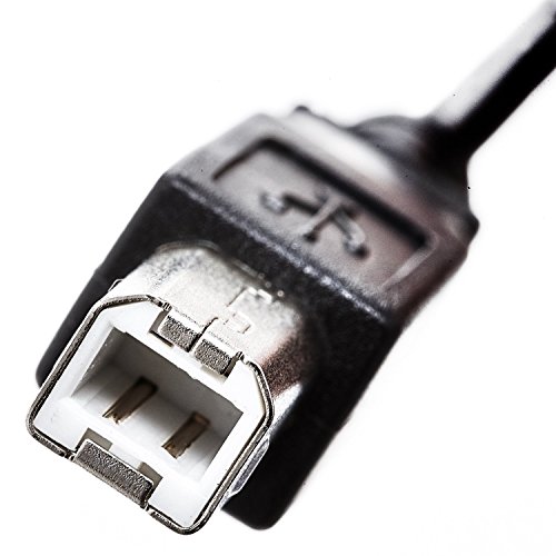 GizzmoHeaven 0,5M USB 2.0 Druckerkabel Kabel Stecker Typ A auf Stecker Typ B für Epson, HP, Canon, Lexmark und OKI USB-Drucker und Festplatten und andere Peripheriegeräte – 0,5 Meter - 2