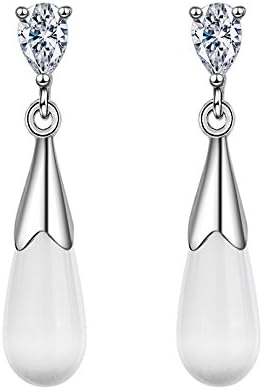 S925 Sterling Silver Drop Dangle Earrings Exquisite Jewelry for Women and Girls Birthday , Christmas , Mother's Day Gift (Silver)
