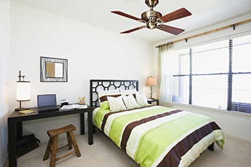 Hunter Deckenventilator Bayport Wendeflügel, 1 Stück, 107 cm, messing antik / eiche / rosenholz, 24174 - 6