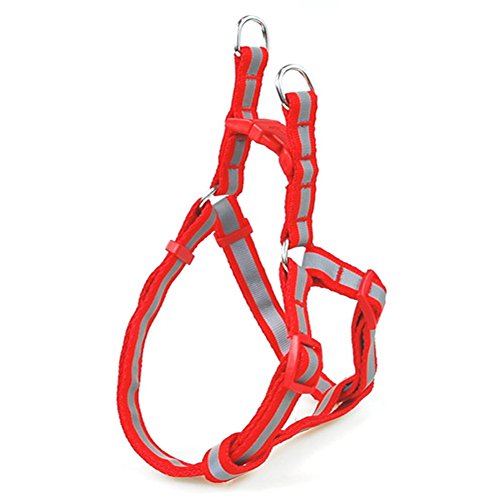 B-JOY réglable harnais pour chien réfléchissant, step-in harnais pour animaux, corps chien harnais avec bandes réfléchissantes, laisse animal de compagnie, plusieurs couleurs (rough)