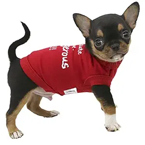 LOPHIPETS Dog I'm Cute But Dangerous Letter Print Shirts for Small Teacup Dog Chihuahua Yorkie Puppy Cat Clothes Tee-Red/XXS