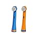 Buddy the Bear : Brusheez Electronic Toothbrush Replacement Brush Heads (Buddy the Bear)–2 Pack RS.1943.00