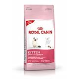 Royal Canin Kitten 36 (mandelfarben) (Fall von 8)