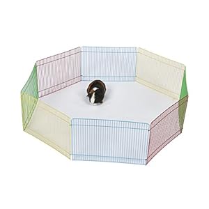 Pet Ting – Parque de Juegos para hámster de Conejo, 34 x 23 cm, 8 Piezas