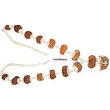 Rudrakshguru Rudraksha Siddha Mala, Brown
