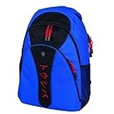 Strapazierfähige Qualität TOSHIBA Backpack \