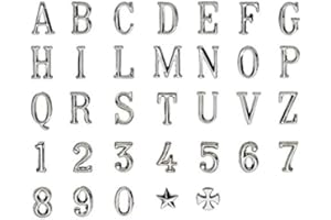 REAL VOTIVA FONDERIE D'ARTE Lettere e Numeri in Acciaio per lapidi o Numeri civici. Altezza 2,5 cm. Modello Romano Prismato. Acciaio Lucido (Lettera A)