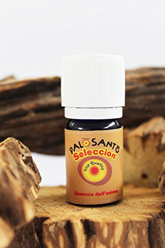Palo sacred Santo Essential Oil – Öl ist 100% pure (undiluted) intensiver Duft des heiligen Baums (Bursera Gravelons) gewonnen aus Dampfdestilation für Aromatherapie und besseres Raumklima (5ml) - 2