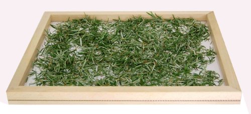Trockene Pasta/Pilze cm.50 x 40 - 5
