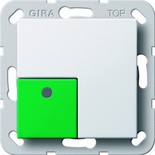 Preisvergleich Produktbild Gira 291103 Abstelltaster System 55, reinweiß