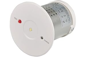 Biard Outdoor 3W LED Recessed Emergency Spotlight Downlight with 3 Hours Emergency Backup and Rechargeable Battery - Aluminium Construction - Ideal for Corridors, Stairwells, Yard, Warehouse