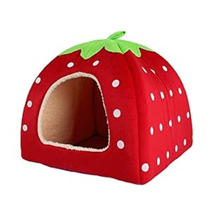Sungpunet – Caseta con encantador diseño de fresa de suave cachemira, cálida, para mascotas, perro, gato, cama-caseta plegable, color rojo