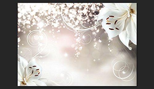 FOTOTAPETE VLIES PREMIUM: 350×245 cm (BxH) – bedruckt auf deutscher Premium Vliesleinwand – Keine Papiertapete ! – 3 Farben zur Auswahl – Top – Tapete – Wandbilder XXL – Wandbild – Bild – Fototapeten – Tapeten – Wandtapete – Wand – Blumen Lilien Abstrakt Ornament Bokeh b-A-0012-a-b - 3