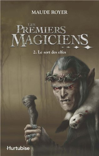 couverture de : Le sort des elfes
