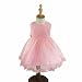 iEFiEL Baby Girl's Princess Dresses Flower Wedding Party Bowknot Lace Tulle Dress Pink 18-24 Months