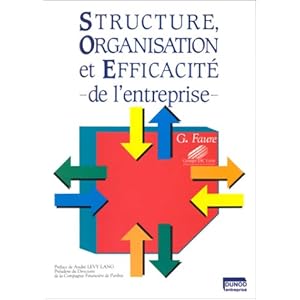 Structure, organisation et efficacité de l'entreprise