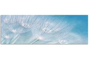 Paul Sinus Art Panorama Bild 150x50cm (Blumen Blüten Bild Pusteblume blau) Exklusives Fotowandbild auf Leinwand und Keilrahmen Leinwandbild Fotodruck modern Zeitlos Stilvoll wie ein Gemälde