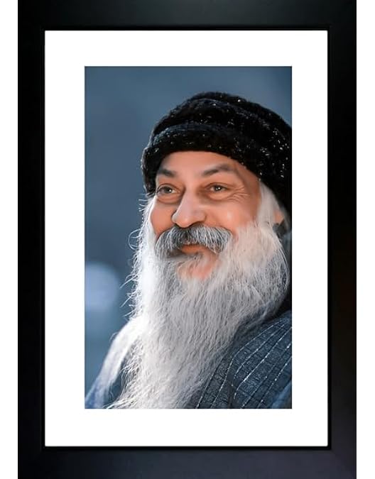 Hi Tech Sales Osho's Wisdom Photo Frame for Office, Wall